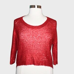 Nue Options Sequin Knit Sweater